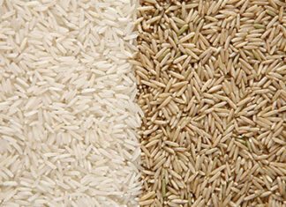 EU: Pakistan to oppose Indian application for GI tag of Basmati rice